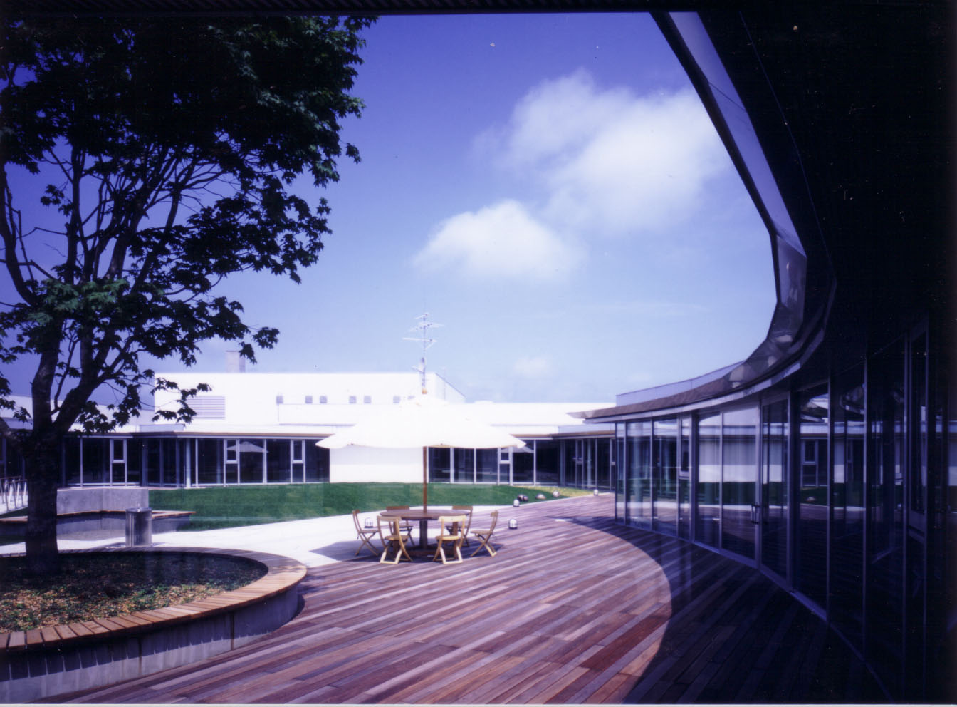 ���z��(��i)�ʐ^