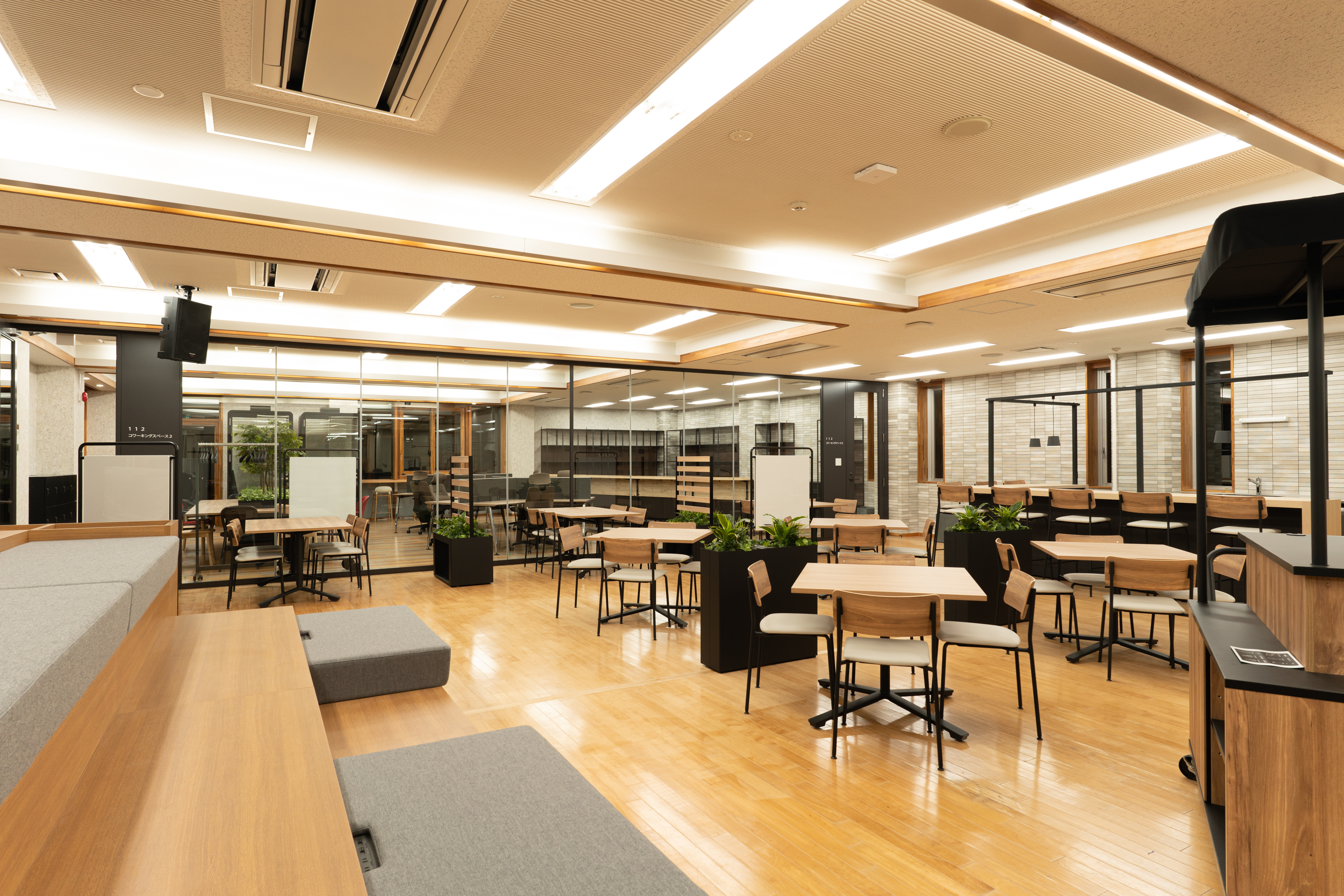 ���z��(��i)�ʐ^